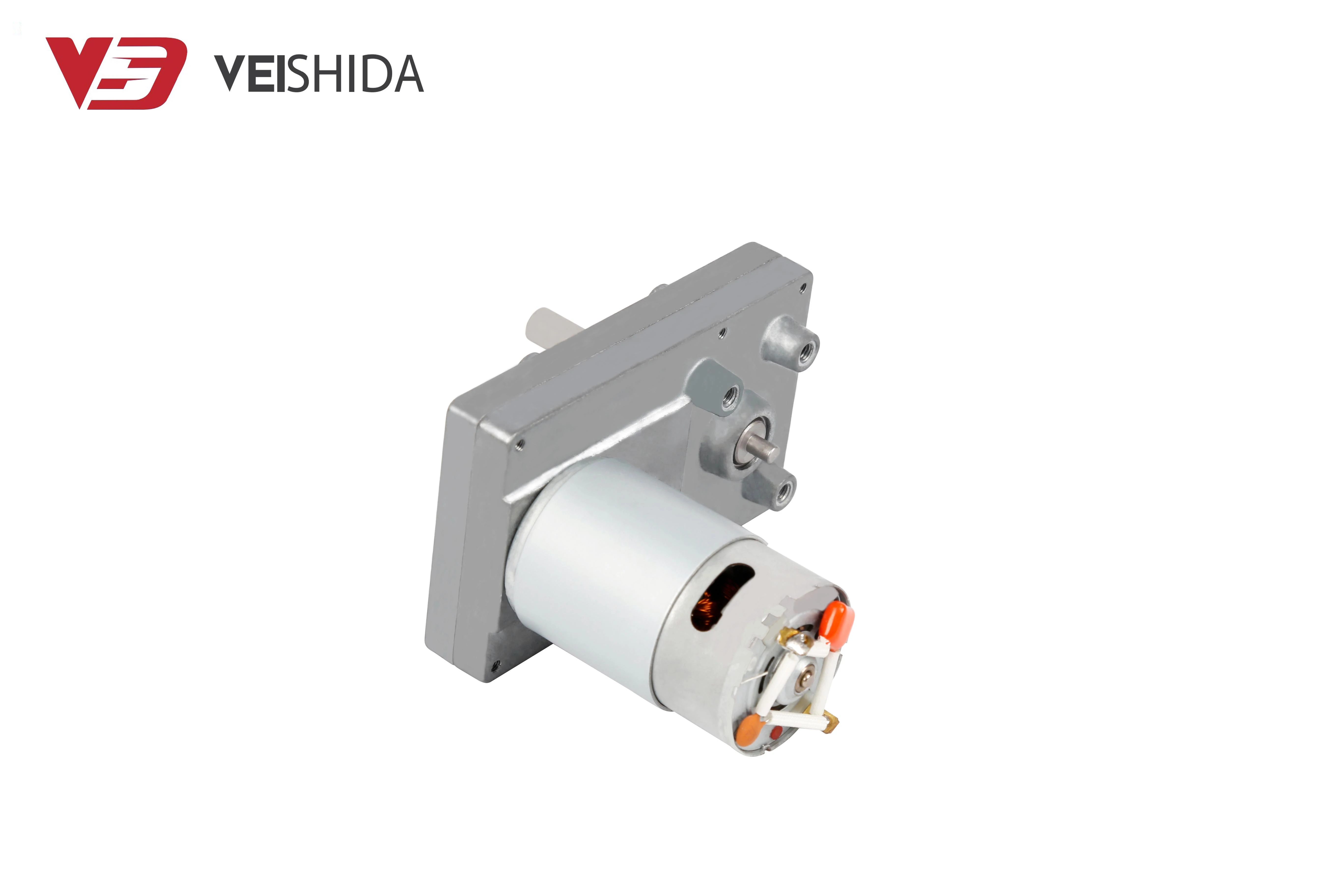 seo 555 (2)